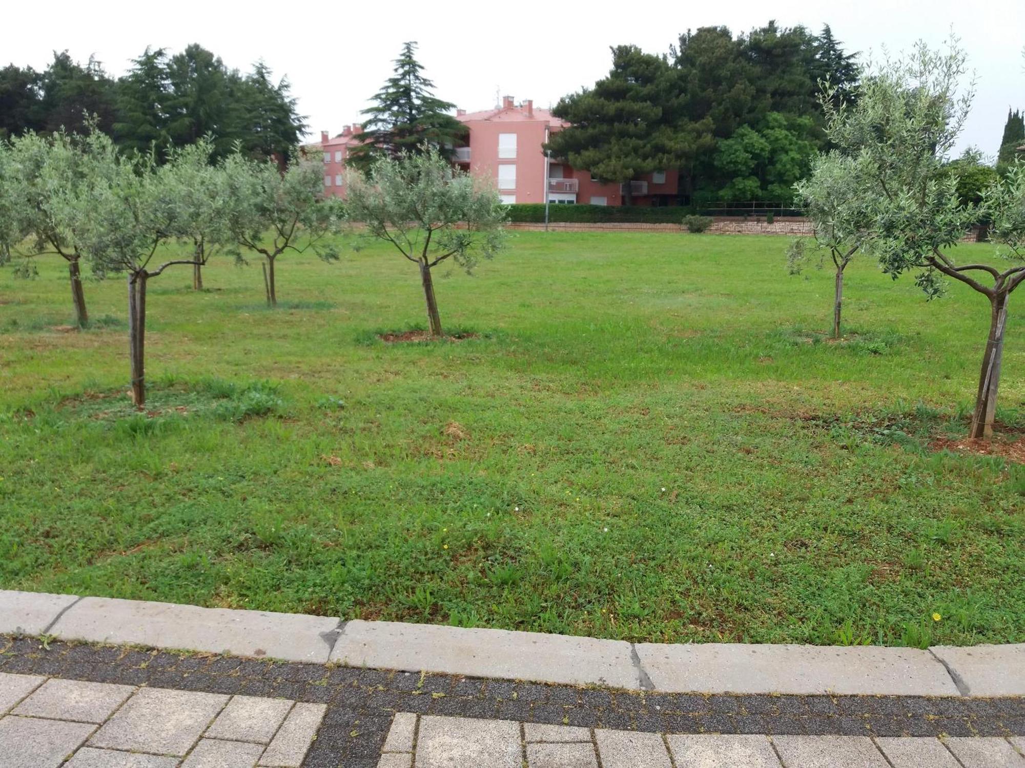 Nautica Novigrad Istria