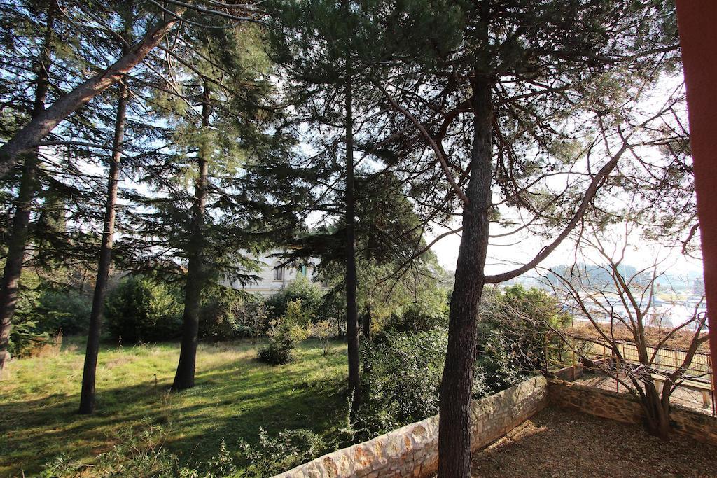 Nautica Novigrad Istria